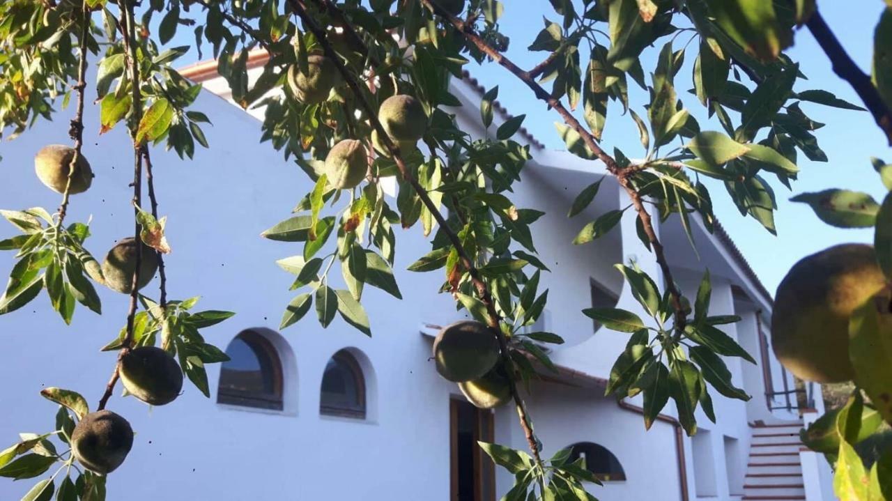 Hotel Salmagilandia Terra Mala Exterior foto